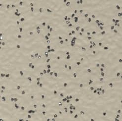 R-AS-VINYL-CPP2-1