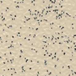 R-AS-VINYL-CPP2-2