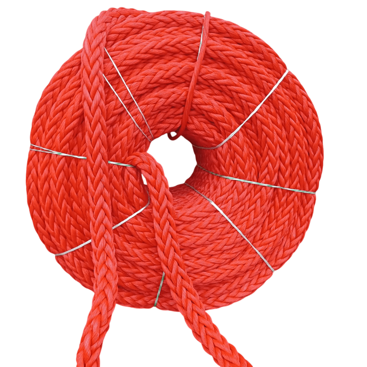 12 STRAND PP  ORANGE